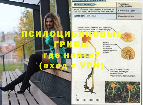 спайс Алексеевка