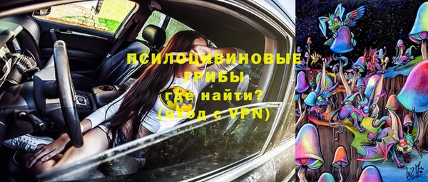 спайс Алексеевка
