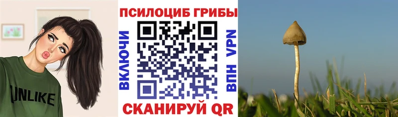 Галлюциногенные грибы Cubensis Иннополис